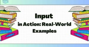 Input vs Imput