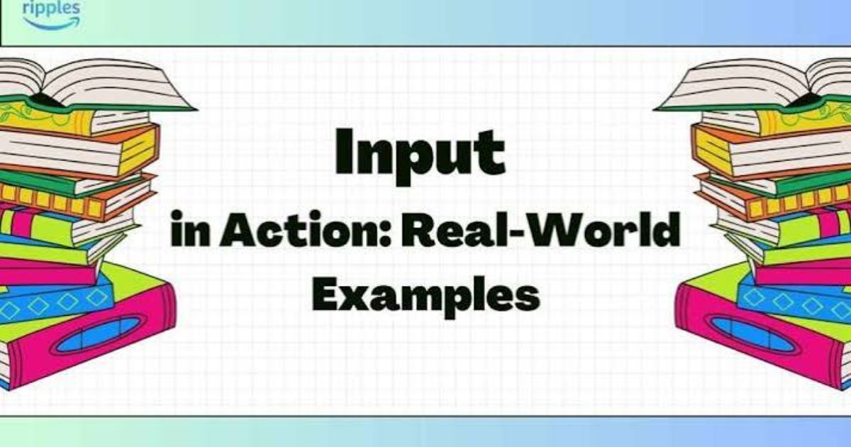 Input vs Imput