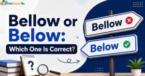 bellow-or-below-which-one-is-correct