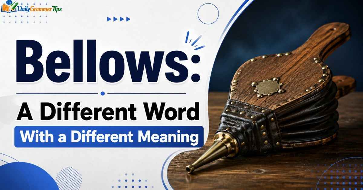 bellows-a-different-word-with-a-different-meaning (1) bellows-a-different-word-with-a-different-meaning