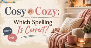 cosy-or-cozy-which-spelling-is-correct