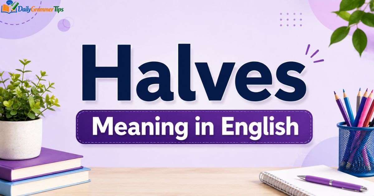 halves-meaning-in-english (1) halves-meaning-in-english