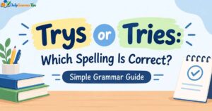 trys-or-tries-which-spelling-is-correct-simple-grammar-guide