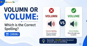volumn-or-volume-which-is-the-correct-spelling-2026